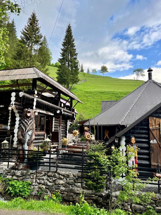 U Tsimborky Villa Synevyrs'ka Polyana Bagian luar foto