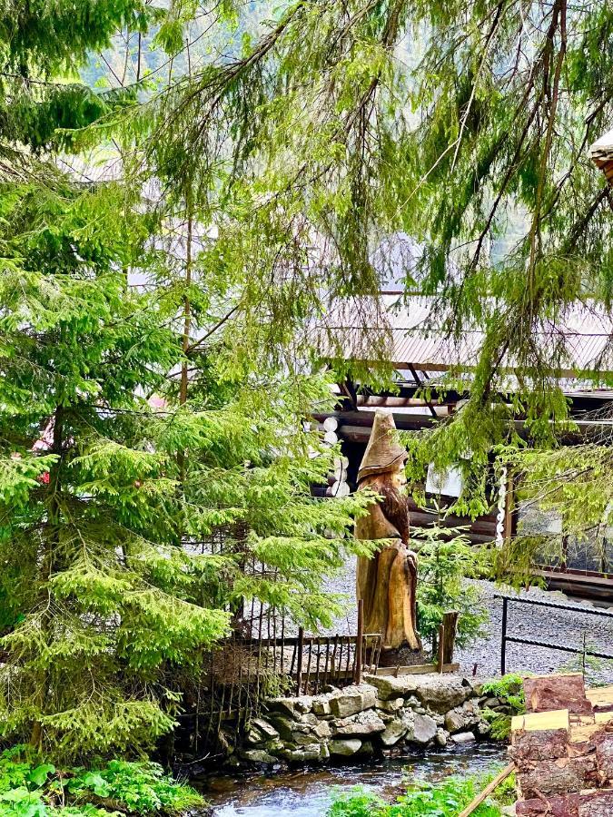 U Tsimborky Villa Synevyrs'ka Polyana Bagian luar foto