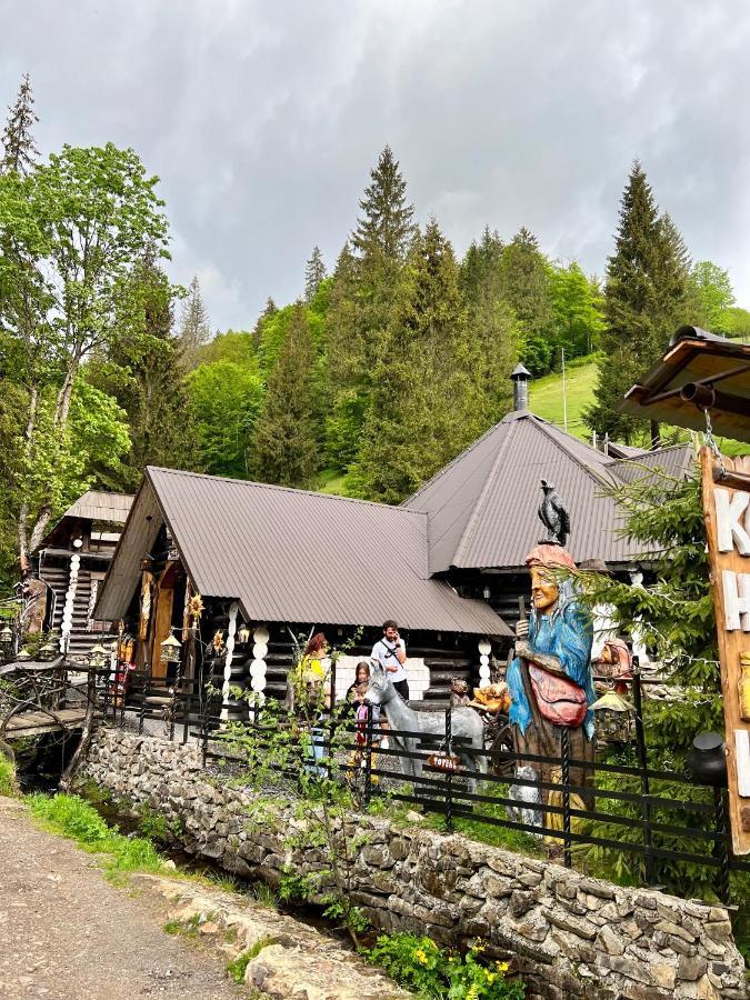 U Tsimborky Villa Synevyrs'ka Polyana Bagian luar foto