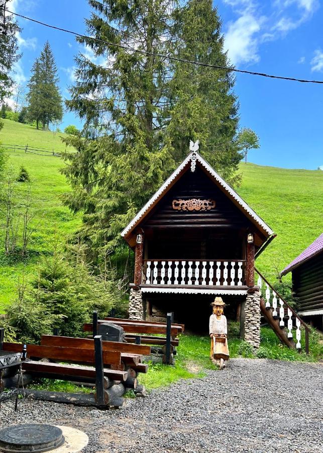 U Tsimborky Villa Synevyrs'ka Polyana Bagian luar foto