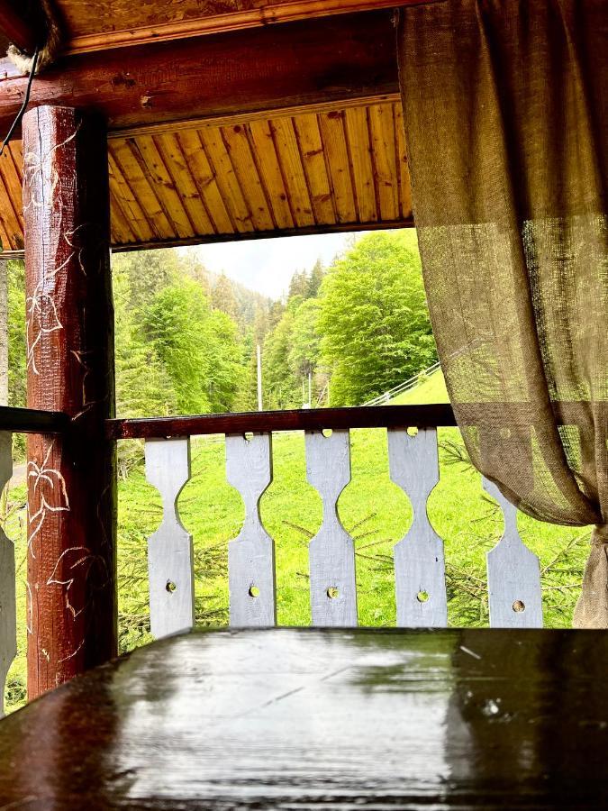 U Tsimborky Villa Synevyrs'ka Polyana Bagian luar foto