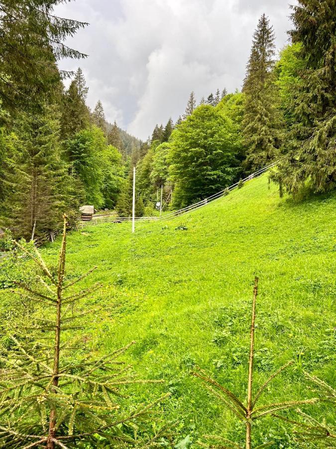 U Tsimborky Villa Synevyrs'ka Polyana Bagian luar foto